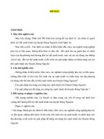 Phân tích mô hình kim cương để xác định rõ  các nhân tố quyết định  lợi thế cạnh tranh của huyện hưng nguyên, tỉnh nghệ an