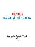 BÀI GIẢNG KINH TẾ CẢNG CHƯƠNG 6 GIÁ CẢNG VÀ LỢI ÍCH QUỐC GIA