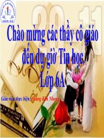 bài giảng chuyên đề  tiết 24 bài 11 tổ chức thông tin trong máy tính