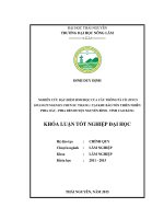 Nghiên cứu đặc điểm sinh học của cây Thông Pà Cò tại Khu bảo tồn loài Thiên Nhiên Phia OắcPhia Đén Huyện Nguyên Bình Tỉnh Cao Bằng