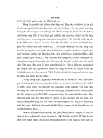 Tiểu luận chính sách cho thuê môi trường rừng các vườn quốc gia nghiên cứu vườn quốc gia ba vì tam đảo và bến en 