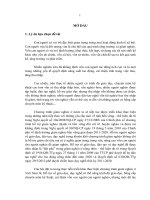 Tiểu luận vai trò vốn con người cho vấn đề giảm nghèo bền vững ở việt nam 