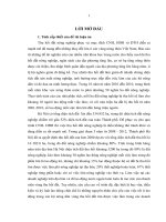 Tiểu luận chính sách việc làm cho thanh niên vùng nông thôn sau khi thu hồi đất ở hà nội 