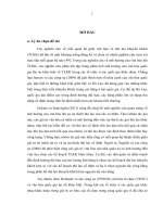 Tiểu luận về tác động văn hóa tổ chức đến hệ thống thù lao khuyến khích trong doanh nghiệp việt nam 