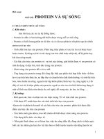 giáo án tích hợp liên môn sinh học 9 bài PROTEIN và sự SỐNG