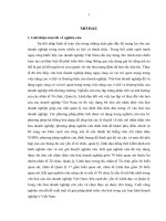 Tiểu luận môn kinh doanh và quản lý hệ thống tiêu chí nhận diện văn hóa của doanh nghiệp và vận dụng ở doanh nghiệp việt nam 