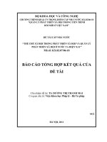 THỂ CHẾ XÃ HỘI TRONG PHÁT TRIỂN XÃ HỘI VÀ QUẢN LÝ PHÁT TRIỂN XÃ HỘI Ở NƯỚC TA HIỆN NAY