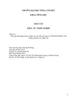 Tham gia hoạt động trồng và chăm sóc cây gấc tại công ty NAFOODS GROUP (tân thắng   quỳnh lưu   nghệ an)