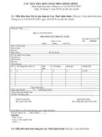 Mẫu Biểu các quyết định, quy định