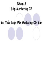 Chiến lược Marketing của TH true milk