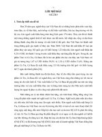 Luận văn Nghiên cứu chuỗi cung ứng của mặt hàng cá tra, cá basa tại công ty cổ phần Nam Việt