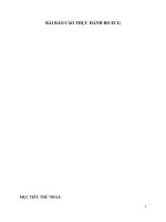 BÀI BÁO CÁO THỰC HÀNH ĐO ECG