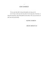 Nghiên cứu tình hình tăng huyết áp của cán bộ, công nhân công ty quản lý đường sắt Bình Trị Thiên