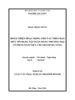 Hoàn thiện hoạt động cho vay theo hạn mức tín dụng tại Ngân hàng Thương mại Cổ phần Nam Việt, chi nhánh Đà Nẵng