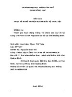 Tham gia hoạt động trồng và chăm sóc cây ớt tại công ty CP đt và TM papaarch cơ sở tại tỉnh quảng bình