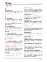 Thuật ngữ trong môn nguyên lý thống kê