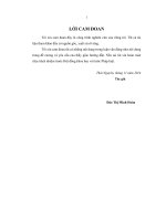 Xây dựng hệ luật mờ mamdani từ cơ sở dữ liệu số 