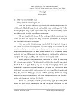Phân tích hiệu quả hoạt động kinh doanh tại công ty TNHH Xây Dựng  Thương Mại  Vận Tải Phan Thành