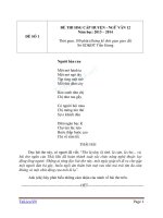 Đề thi học sinh giỏi văn cấp huyện lớp 9