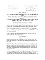 QUY CHẾ HUẤN LUYỆN CẤP CHỨNG CHỈ CHUYÊN MÔN VÀ ĐẢM NHIỆM CHỨC DANH THUYỀN VIÊN TRÊN tầu BIỂN VIỆT NAM của bộ GTVT