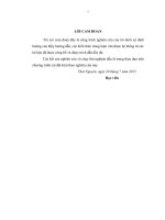 Phương pháp huấn luyện mạng nơ ron sử dụng giải thuật di truyền 