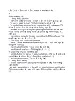 CÁC câu TIẾNG ANH hữu ÍCH KHI đi PHỎNG vấn,