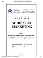 Những yếu tố ảnh hưởng đến mức độ thỏa mãn của khách hàng đối với mạng di động beeline