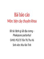 Bài báo cáo bệnh cây chuyên khoa bệnh gỉ sắt đậu tương   phakopsora pachyrhyzi