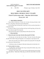 Báo cáo Tổng kêt hoạt động chi đoàn năm 2015