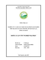 Nghiên cứu và đề xuất một số giải pháp giảm nghèo trên địa bàn xã xuân trường, huyện bảo lạc, tỉnh cao bằng  