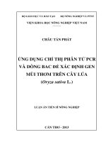 Ứng dụng chỉ thị phân tử PCR và dòng BAC để xác định gen GEN mùi thơm trên cây lúa (oryza sativa l)