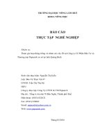 Tham gia hoạt động trồng và chăm sóc cây ớt tại công ty cổ phần đầu tư và thương mại papaarch cơ sở tại tỉnh quảng bình