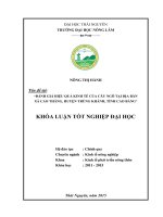 Đánh giá hiệu quả kinh tế của cây ngô tại địa bàn xã cao thăng, huyện trùng khánh, tỉnh cao bằng  