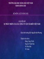 SỰ PHÁT TRIỂN của các CÔNG TY vận tải BIỂN VIỆT NAM 