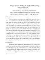 Tổng quan một số chất hấp phụ giúp loại bỏ asen trong nước hoặc nước thải