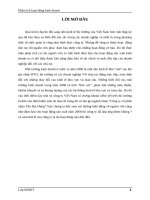 Phân tích hoạt động kinh doanh công ty cổ phần nhựa tân đại hưng