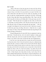 Nghiên cứu động cơ và hứng thú học tập môn GDTC của sinh viên khoa kế toán tài chính trường đại học hải phòng  