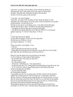 PHƯƠNG án kỹ THUẬT bàn nén HIỆN TRƯỜNG 