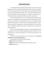 Lập dự án thành lập cơ sở sản xuất gạch không nung 