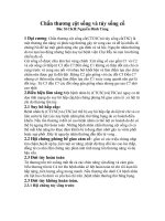 phác đồ điều trị BV Chợ Rẫy,  ngoại thần kinh