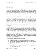 Báo cáo thực tập Công ty cổ phần đầu tư và phát triển hạ tầng thanh sơn