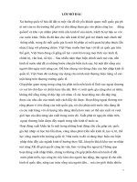 LẬP PHƯƠNG án KINH DOANH XUẤT KHẨU cá TRA của CÔNG TY CP XNK cửu LONG AN GIANG với NGA 