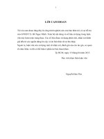 Các giải pháp nhằm thu hút vốn đầu tư nước ngoài vào lĩnh vực bất động sản full