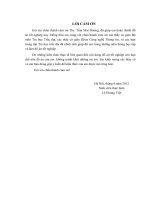 đồ án tốt nghiệp - Nghiên cứu ứng dụng ArcGIS xây dựng CSDL phục vụ công tác quản lý hành chính thành phố hồ chí minh