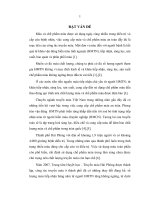 Nghiên cứu thực trạng chất lượng máu và chế phẩm máu tại Hải Phòng giai đoạn 2010- 2011