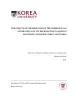 The effects of chloride ions on the hydrogen gas generation and TCE degradation in aqueous solutions containing zero valent iron