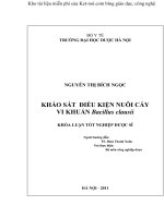 KHẢO sát điều KIỆN NUÔI cấy VI KHUẨN BACCILLUS CLAUSII 