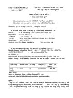 Mẫu Hợp Đồng các Loại