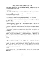 ĐỀ CƯƠNG cơ sở văn hóa VIỆT NAM 