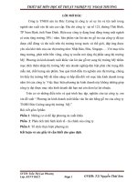 Phương án kinh doanh xuất khẩu ván lát sàn bằng gỗ tre của công ty TNHH đức cường sang thị trường  mỹ 